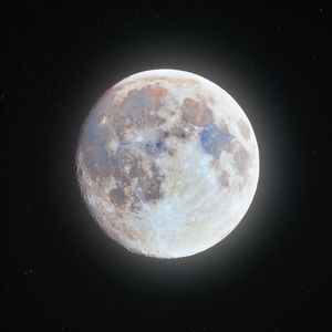 Meet your Posher, Wesley